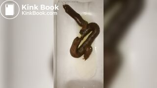 恋人 の うんち 十四