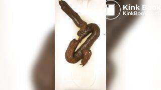 恋人 の うんち 十四