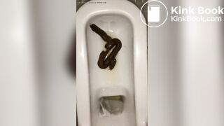 恋人 の うんち 十四