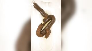 恋人 の うんち 十四