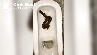 恋人 の うんち 十四