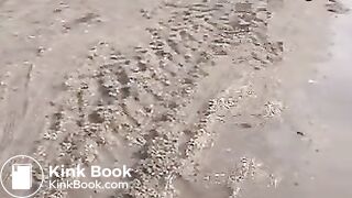 Outdoor poo in the sand..