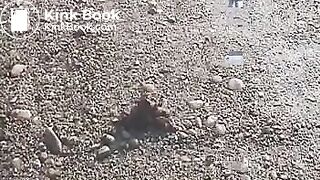 Outdoor poo in the sand..