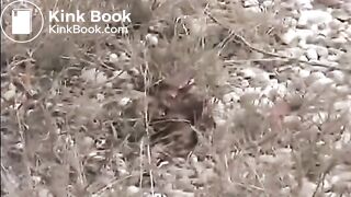 2 German ladies outdoor poo..
