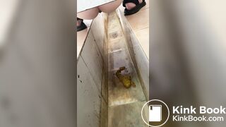 Chinese trench part 5 - Piss on part 3 Womans Ripe Shit