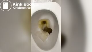 BEATIFUL EBONY SCAT BABE SHITTING IN PUBLIC TOILETS