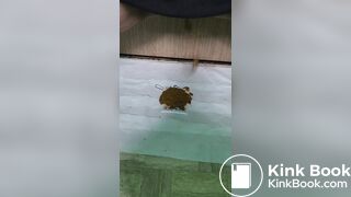 また友達のグッズにうんち