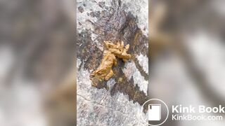 Cute girl outdoor shitting on the rocks