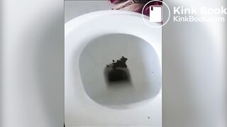 4 nice poops..