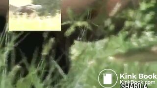 Japanese girls outdoor poo