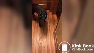 girl poop with no toiletpaper