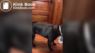 girl poop with no toiletpaper