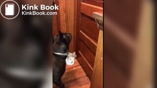 girl poop with no toiletpaper