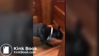 girl poop with no toiletpaper