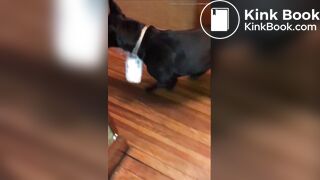 girl poop with no toiletpaper