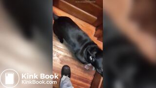 girl poop with no toiletpaper