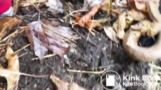 Brown Snake in Autumn