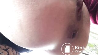 Brown Snake in Autumn