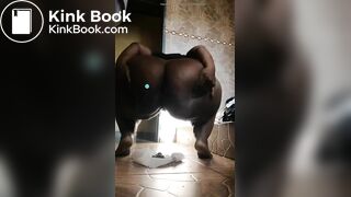 African scat - video 5