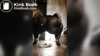 African scat - video 5