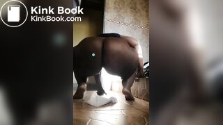 African scat - video 5