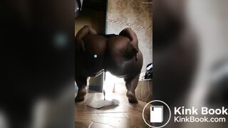 African scat - video 5