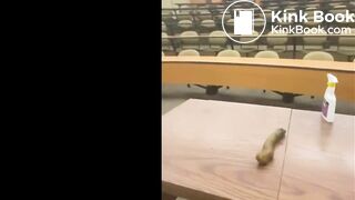 Plump Booty Girl Takes A Long Shit Inside Of Classroom