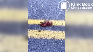 Shitting in the middle of the road