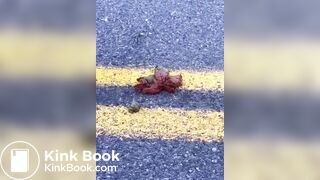 Shitting in the middle of the road