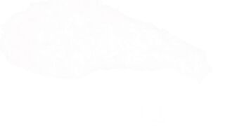 Blue Speedo Triple Jeans Poop