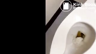 Blonde Girl Public Toilet Poop