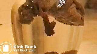 A poo in a water bowl..