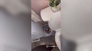 Nice big shit - video 12