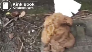 Girl poop 122 - video 2