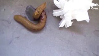 Asian mega turd on bathroom floor