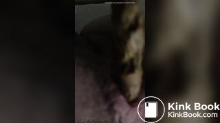 Pooping on the toilet again reupload