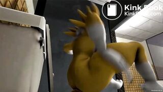 Renamon Hyperscat Old Video