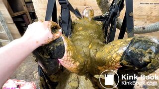 Swing in the barn with cowshit PoV