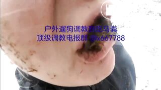 Iced cattle turds