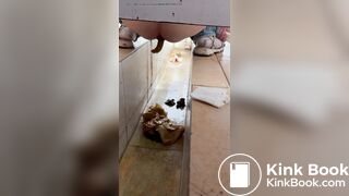 Chinese voyeur wet shit with gas in ditch