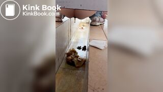 Chinese voyeur wet shit with gas in ditch