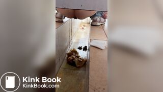 Chinese voyeur wet shit with gas in ditch