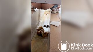 Chinese voyeur wet shit with gas in ditch