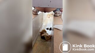 Chinese voyeur wet shit with gas in ditch