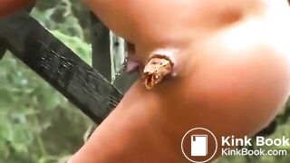 In the woods.. in the woods..