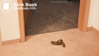 Scat Girl 108