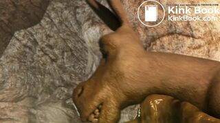 Lovin' In The Lair (Dragon Scat Anal Vore Animation)