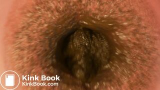 Lovin' In The Lair (Dragon Scat Anal Vore Animation)