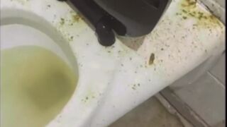 Evil Girl Sprays Her Shit All Over The Public Toilet