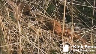 Girl poop - video 145